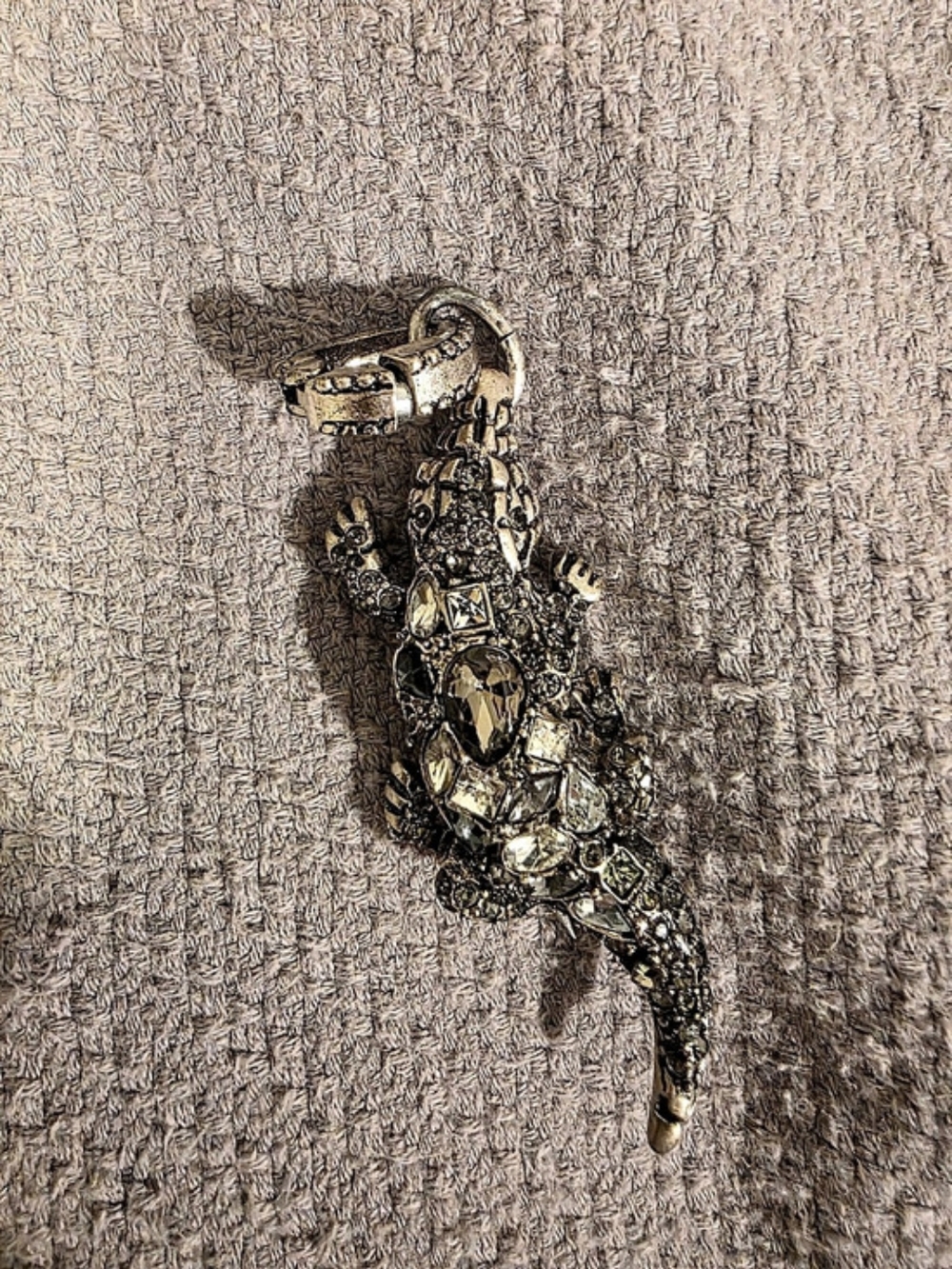 Chico's Embellished Alligator Pendant Necklace And Pin